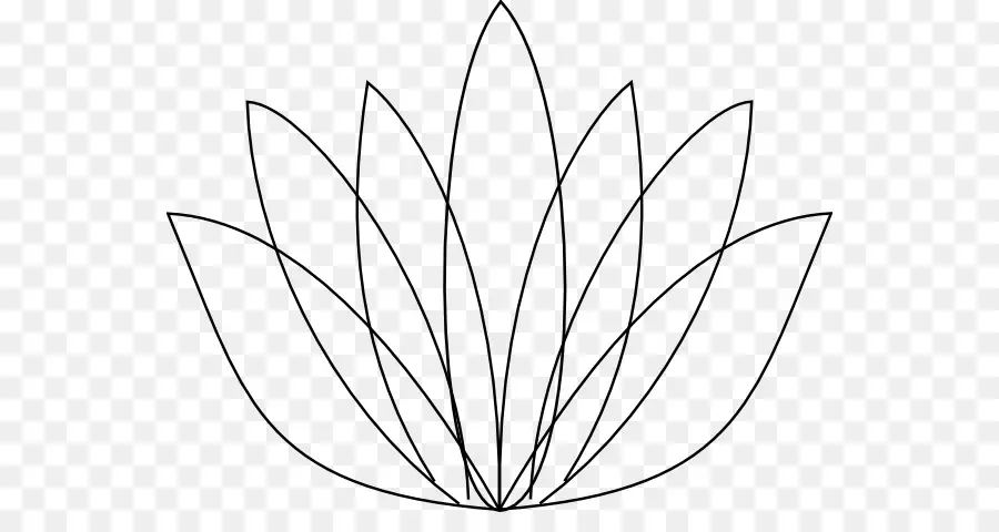 Nelumbo，Egipcio De Lotus PNG