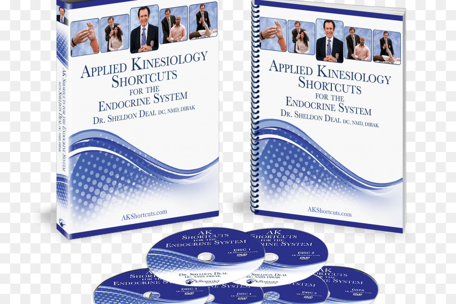 Kinesiología，La Kinesiología Aplicada PNG