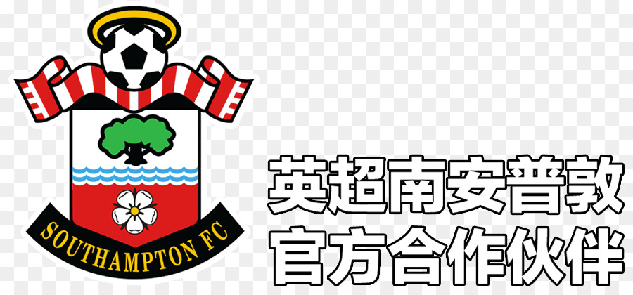 Southampton Fc，El Newcastle United Fc PNG