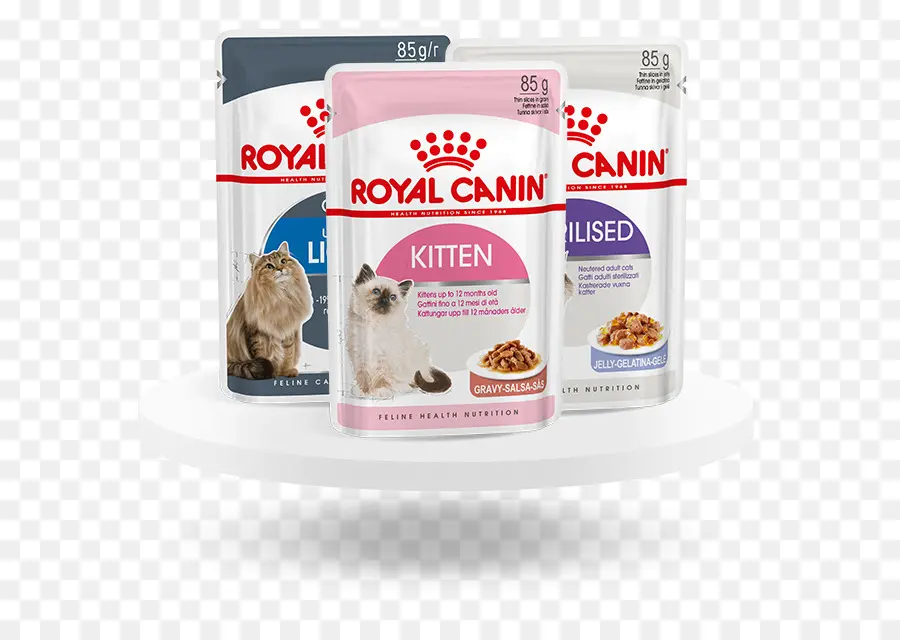 Comida Para Gatos Royal Canin，Gatito PNG