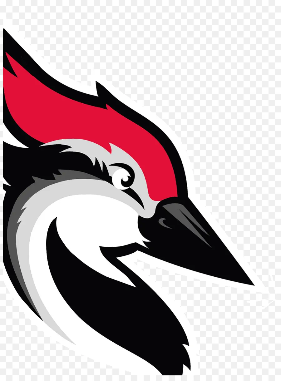 Woodpecker，Pico PNG