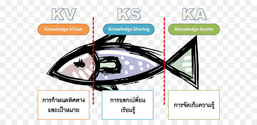 La Gestión Del Conocimiento，Los Peces PNG