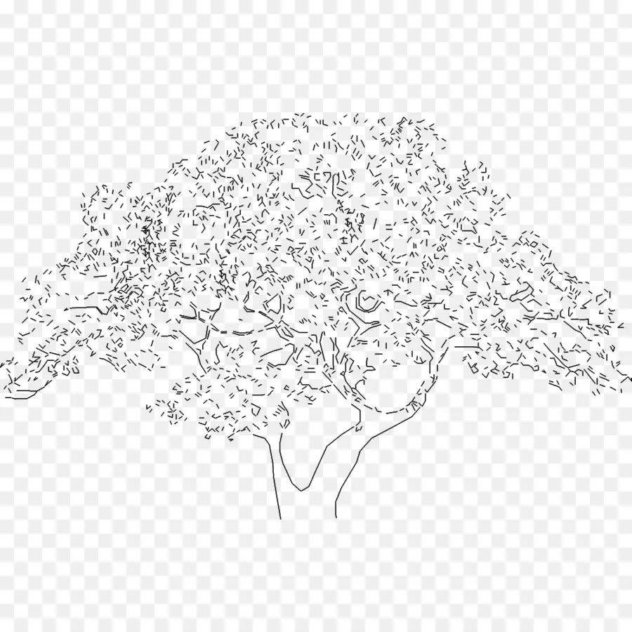 Árbol De Arte Lineal，Naturaleza PNG