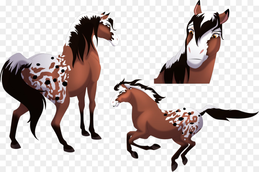 Caballos，Caballo PNG