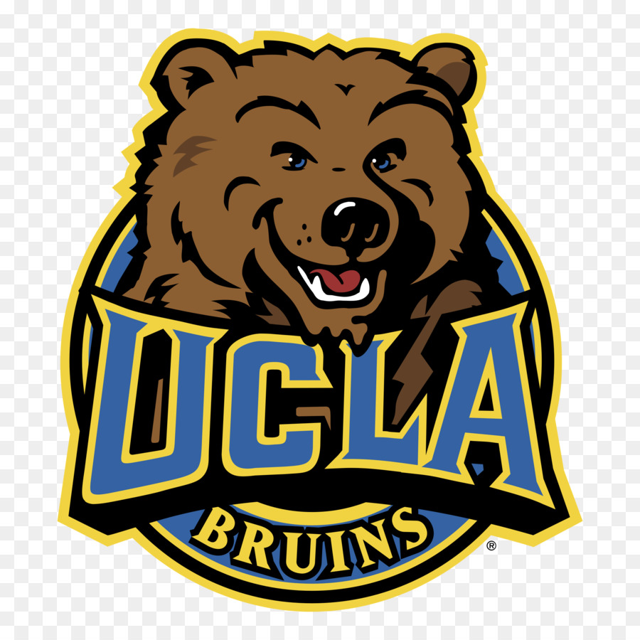 La Universidad De California Los ángeles，Ucla Bruins Baloncesto Masculino PNG