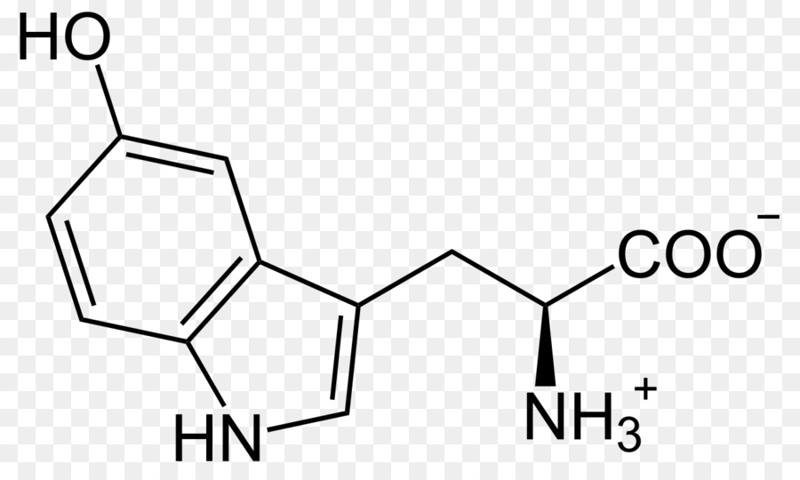 Triptófano，Serotonina PNG