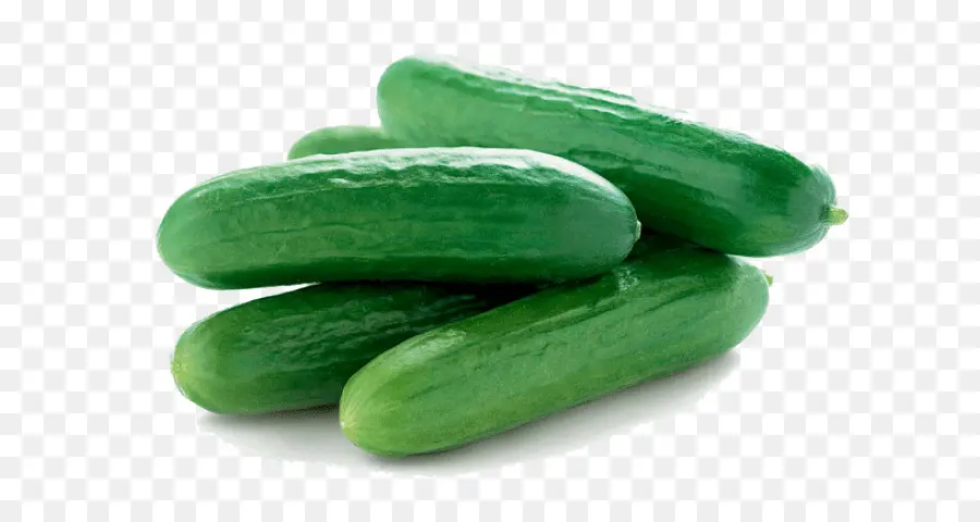 Pepino，Pepinillos Spreewald PNG