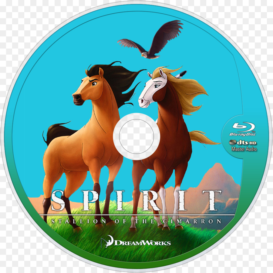 Dvd Espiritual，Película PNG