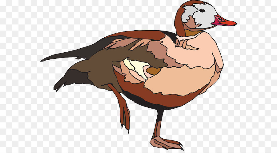 Pato，Ganso PNG