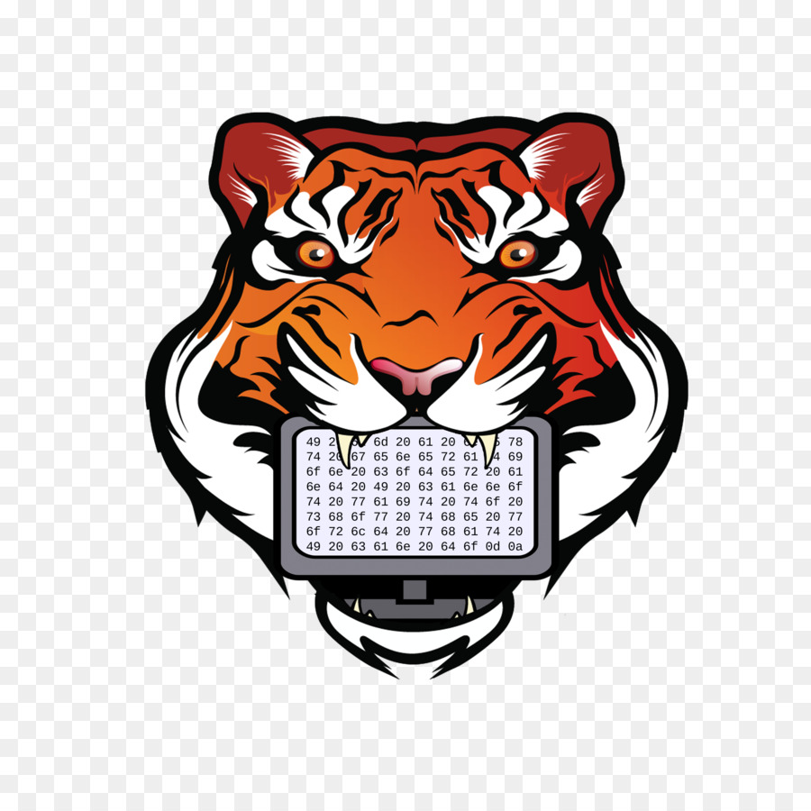 Tigre，Memphis Tigers Baloncesto Masculino PNG