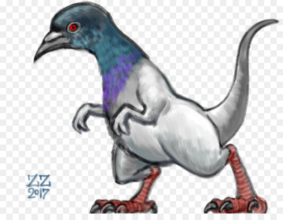 Rock，Columbidae PNG