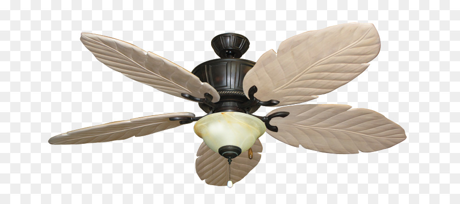 La Luz，Ventiladores De Techo PNG