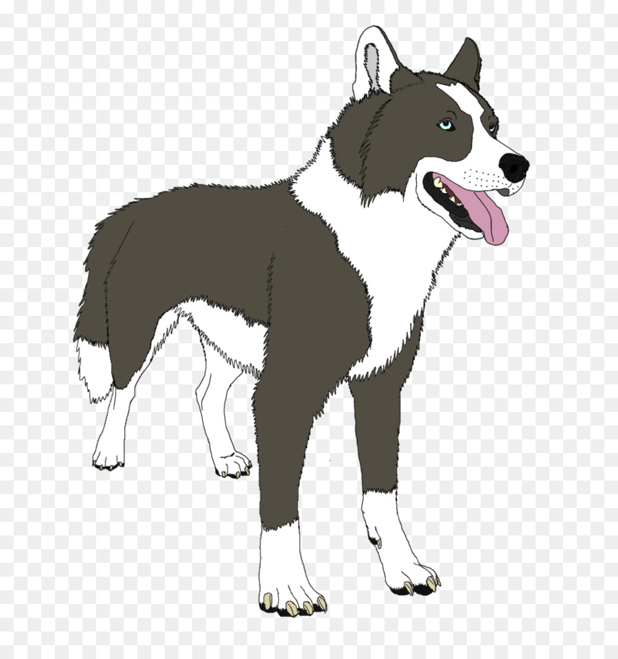 Perro De Dibujos Animados，Animación PNG