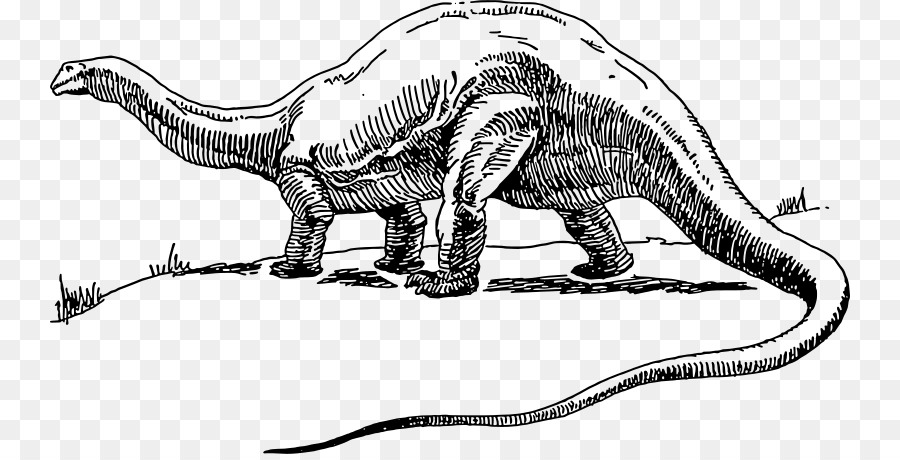Apatosauro，Brontosaurus PNG