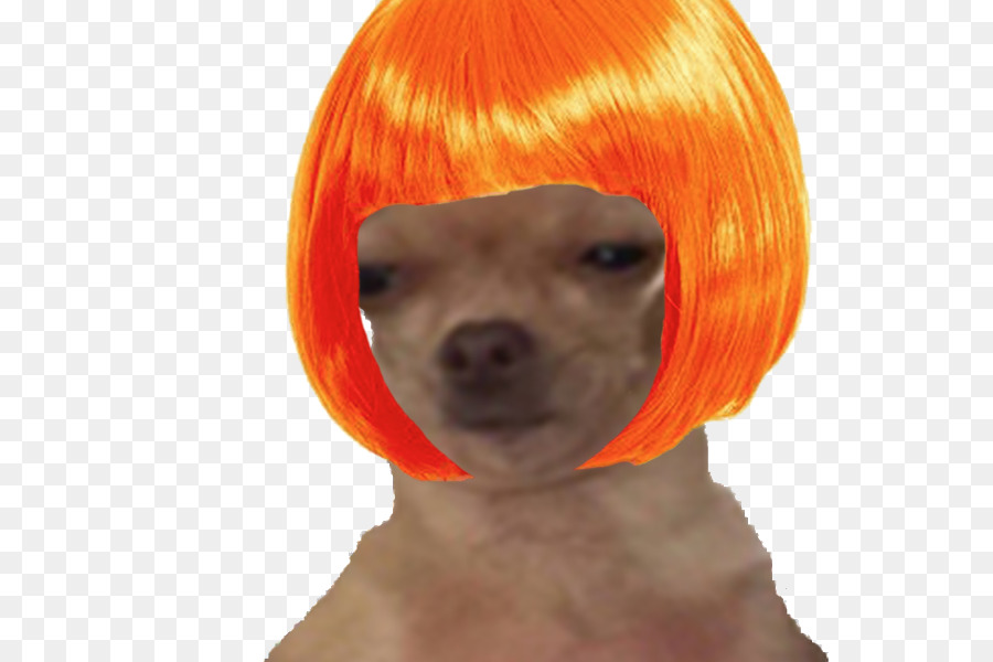 Raza De Perro，Perro PNG