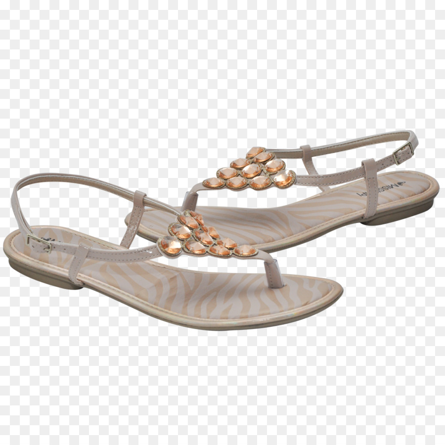 Sandalia，Chanclas PNG