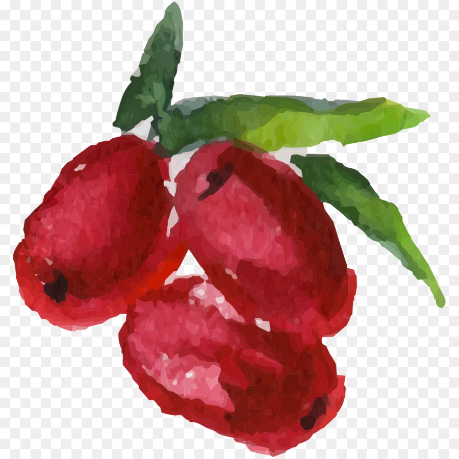 La Fruta，Pintura A La Acuarela PNG