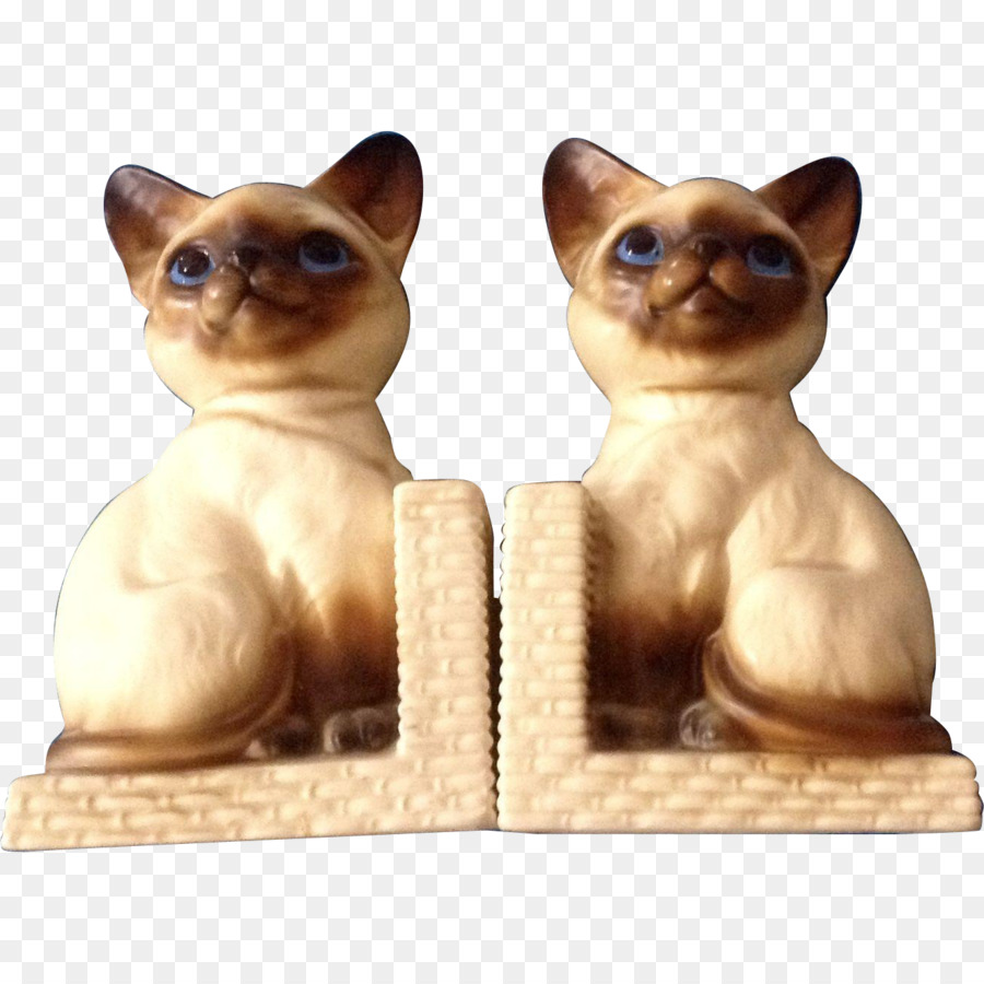 Bigotes，Tonkinese Gato PNG