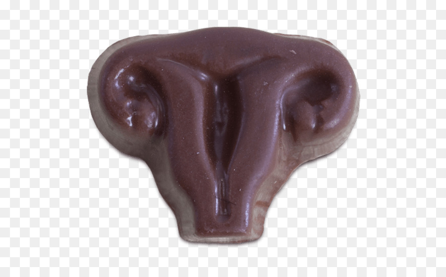 Chocolate，Galleta Con Chispas De Chocolate PNG