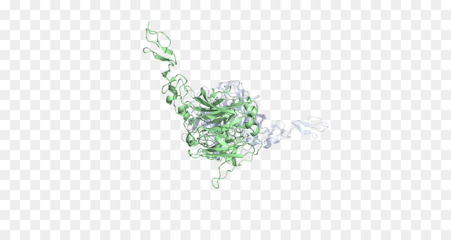 Joyería，Verde PNG