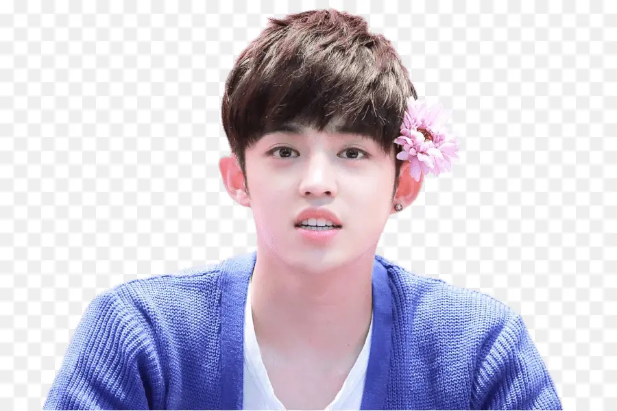 Scoups，Diecisiete PNG