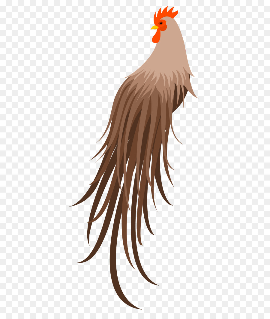 Gallo，Pollo PNG