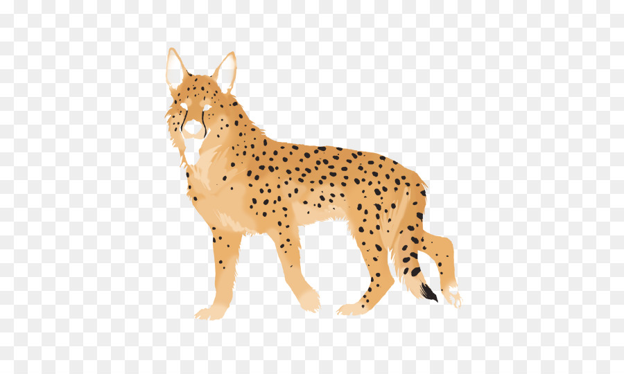 Guepardo，Gato PNG