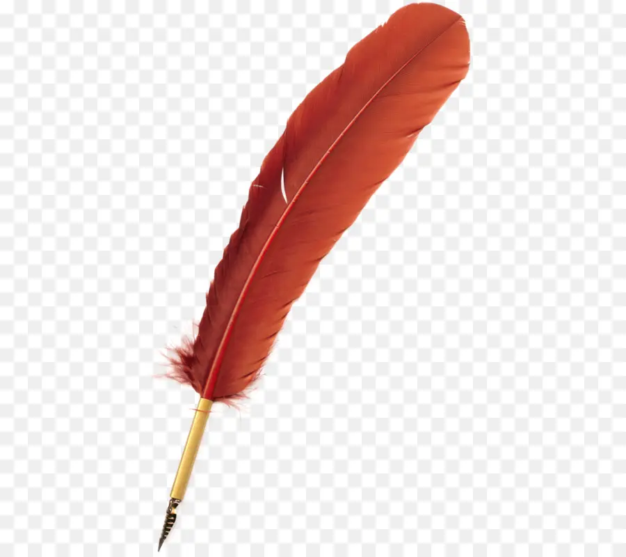 Pluma De Pluma Roja，Escribiendo PNG