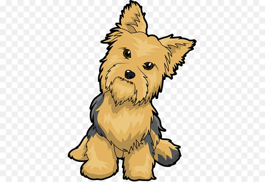 Yorkshire Terrier，Cachorro PNG