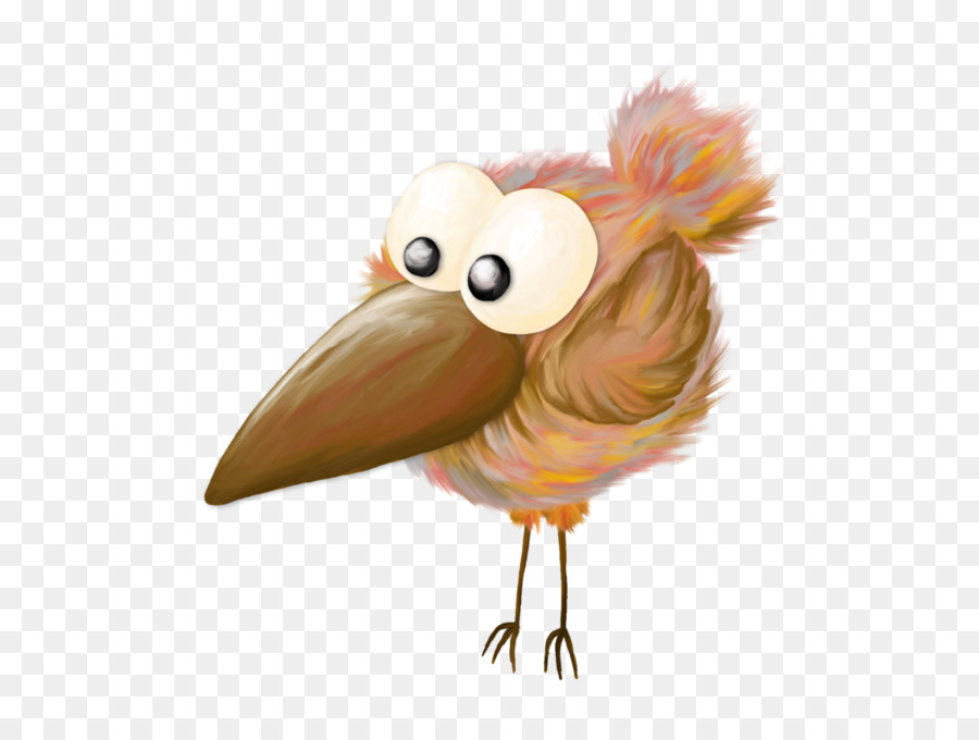 Pollo，Pájaro PNG