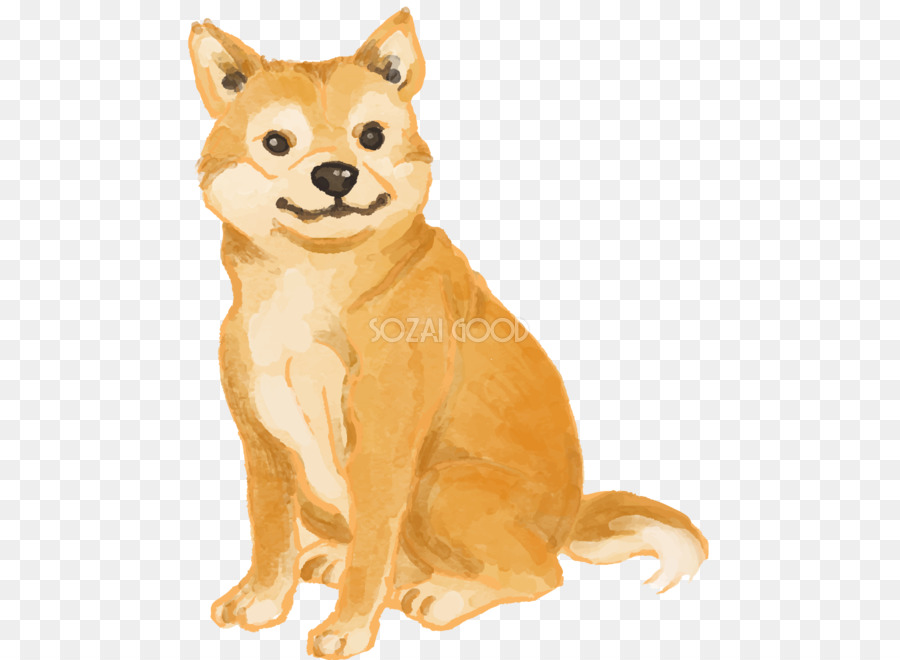 Spitz Finlandés，Shiba Inu PNG