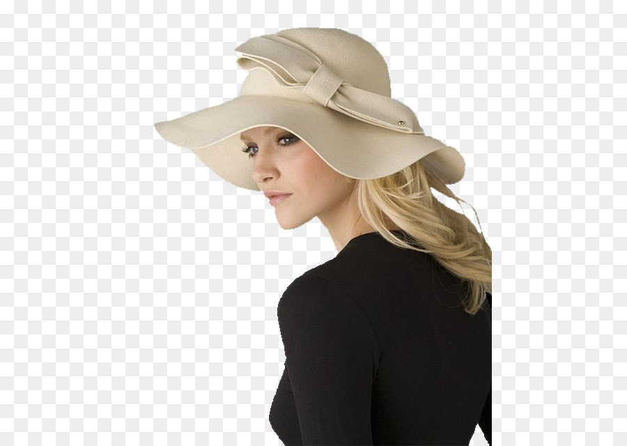 Sombrero Para El Sol，Pintura PNG