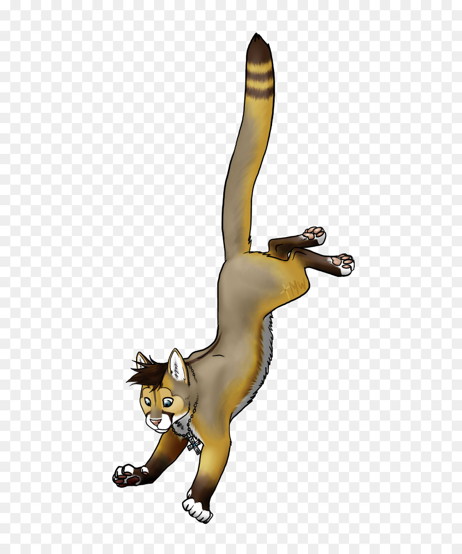 Gato，Pescado De Chocolate PNG