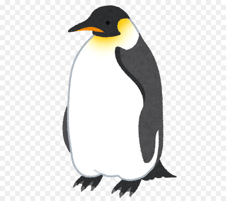 Pingüino Rey，Pingüino PNG