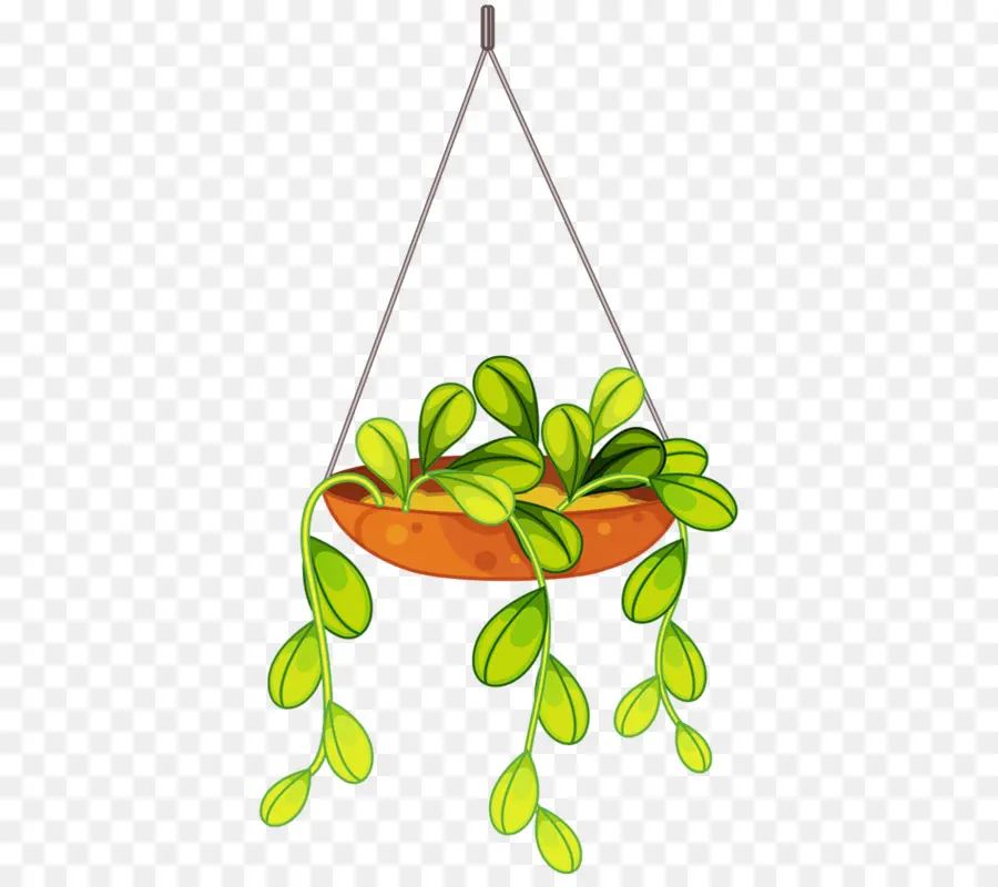 Planta Colgante，Hojas PNG