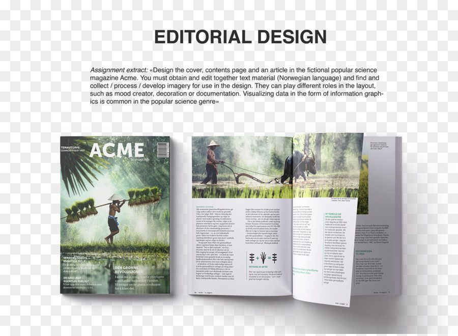 Diseño Editorial，Revista PNG