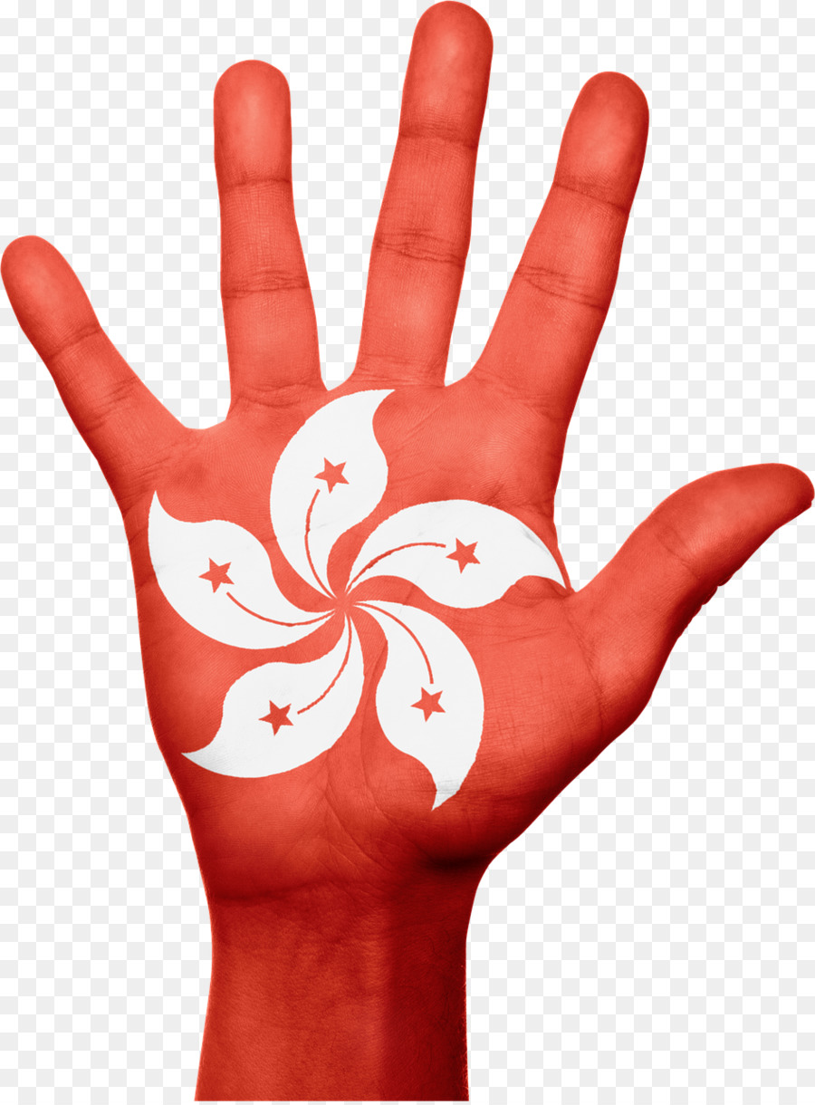 Hong Kong，Bandera De Hong Kong PNG