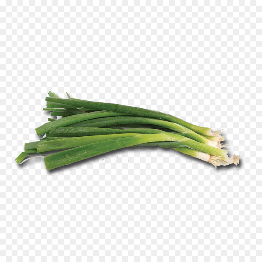 Allium Fistulosum，El Galés Cocina PNG