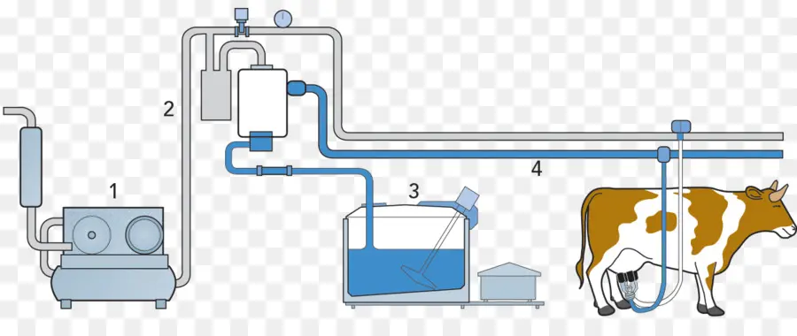 Diagrama De La Máquina De Ordeño，Vaca PNG