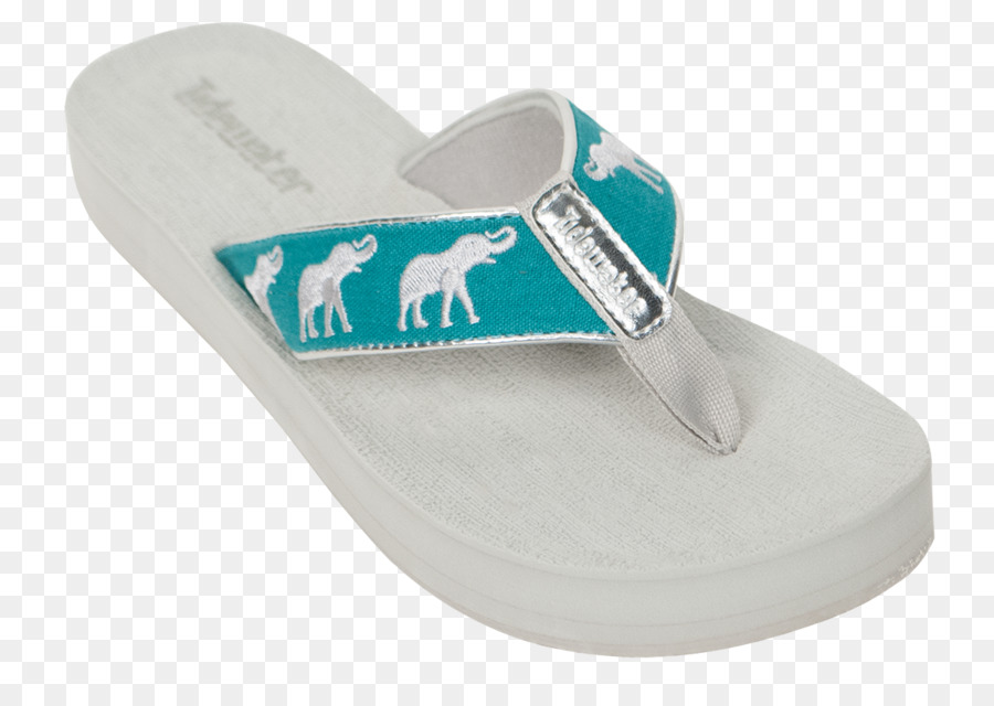 Chancletas，Sandalia PNG