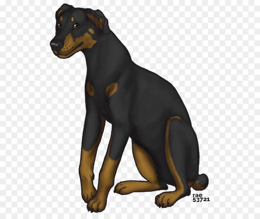 Dobermann，Pinscher Alemán PNG