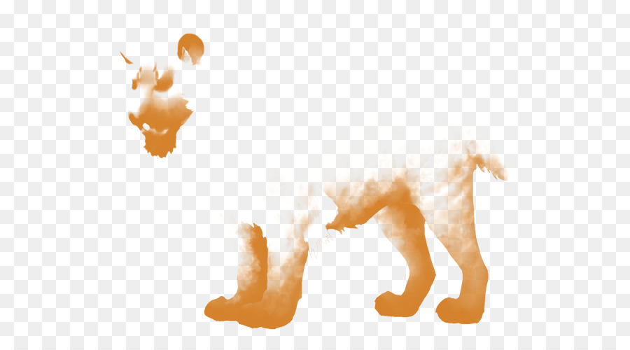 Perro，Gato PNG