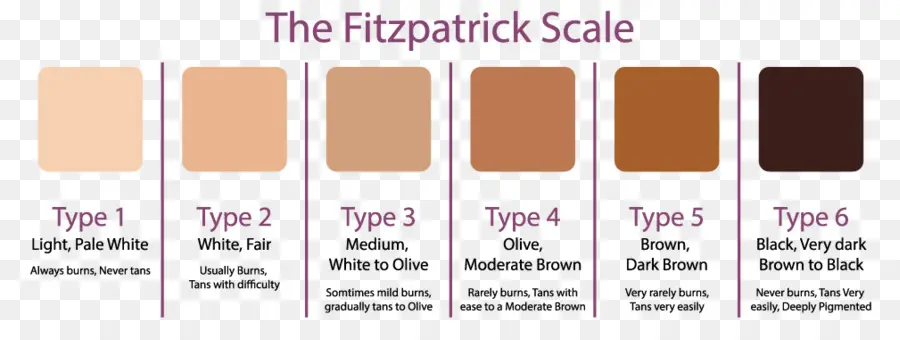 Escala De Fitzpatrick，El Color De La Piel Humana PNG