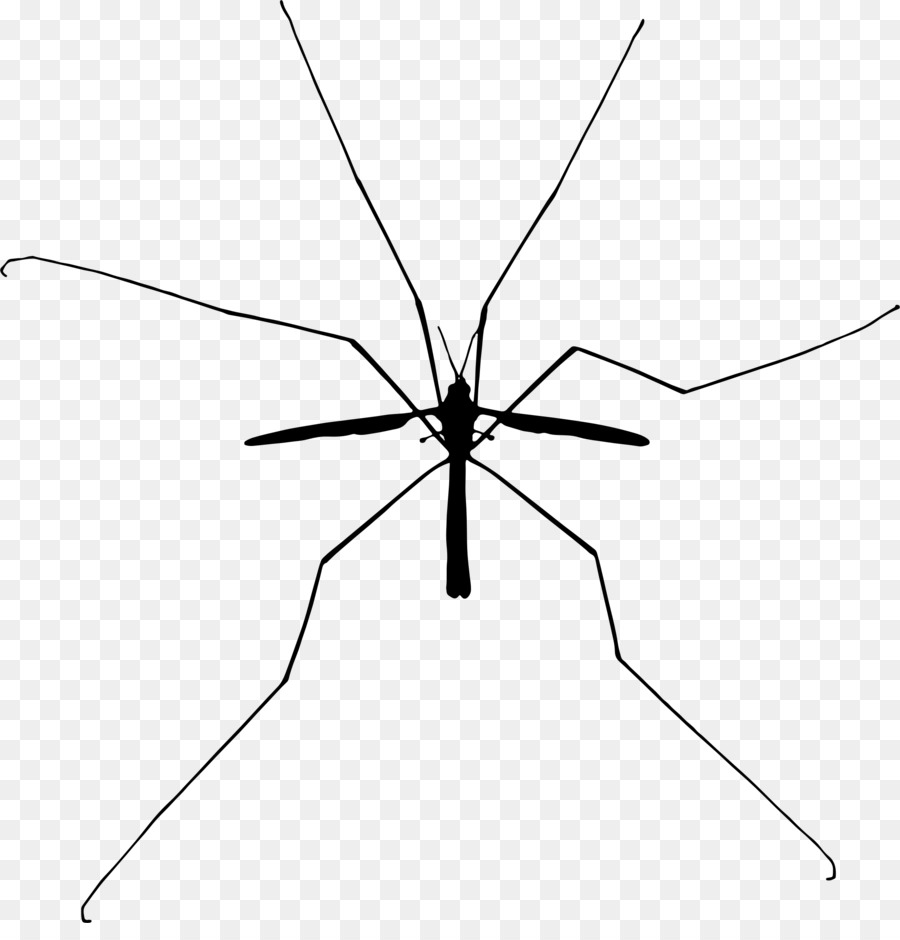 Mosquito，Bicho PNG