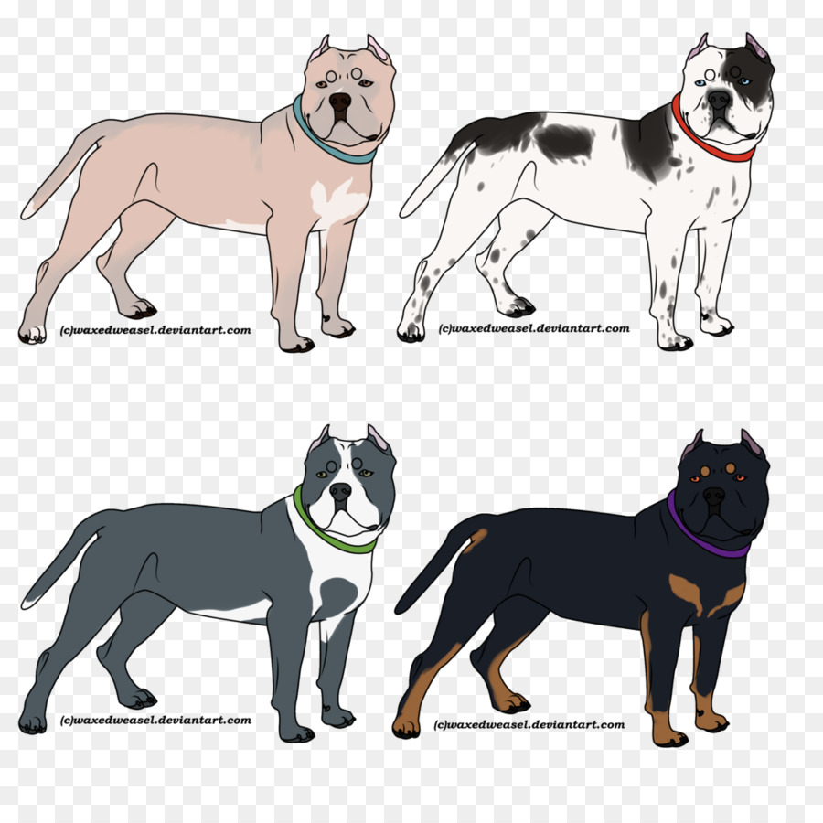 Perros，Mascotas PNG