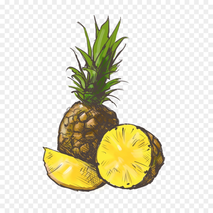 Piña，Tropical PNG