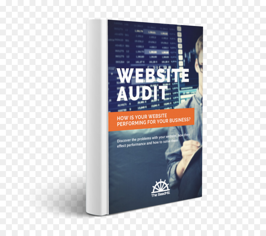 Sitio Web De La Auditoría，Auditoria PNG