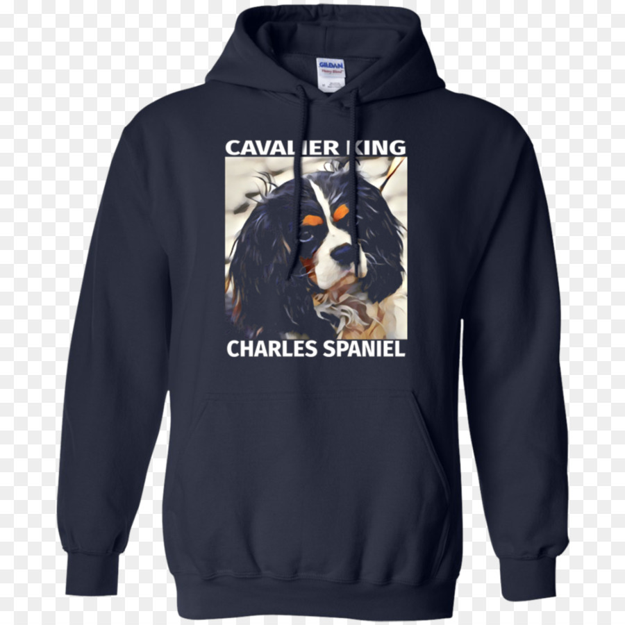 Camiseta，Sudadera Con Capucha PNG