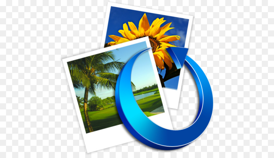 Flor，Golf PNG