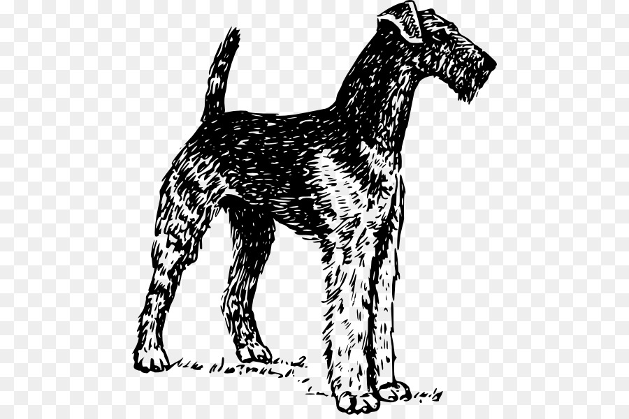 Airedale Terrier，Terrier De Boston PNG